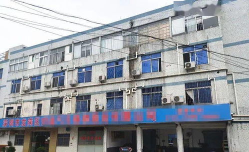 東莞一工廠遭遇“螞蟻搬家式”盜竊，12萬元清真食品不翼而飛，疑有內鬼參與